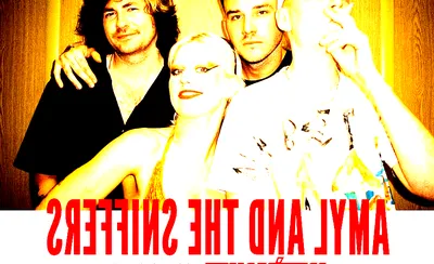 Amyl and The Sniffers