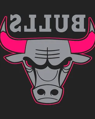 Chicago Bulls vs. Portland Trail Blazers