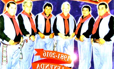 Los Mirlos