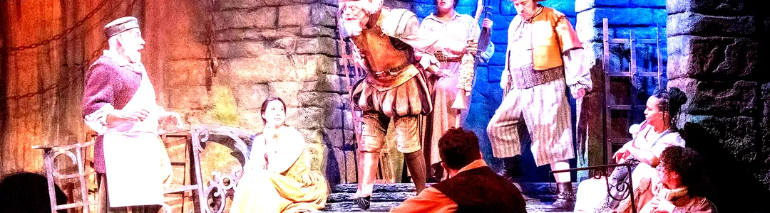 Man Of La Mancha