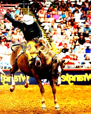 Rodeo