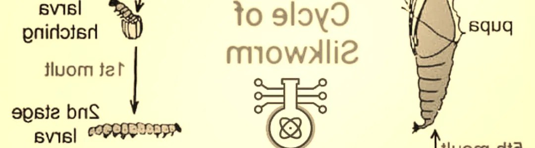 Silkworm