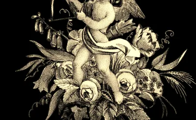 Strauss