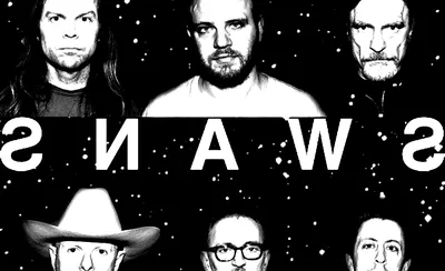 Swans