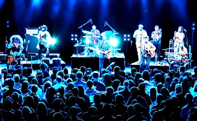 The Cat Empire