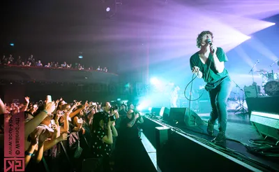 The Kooks