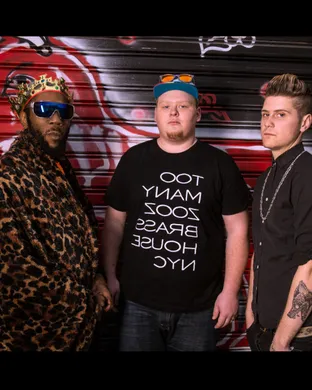 Too Many Zooz