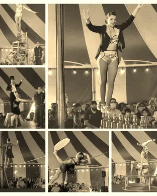Venardos Circus