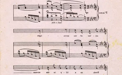 Wild Rose Vaudeville