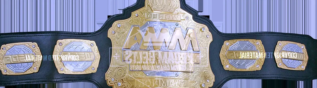 World Fighting Championship