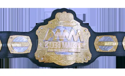 World Fighting Championship