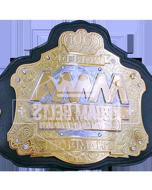 WFC 191: Live Championship Boxing